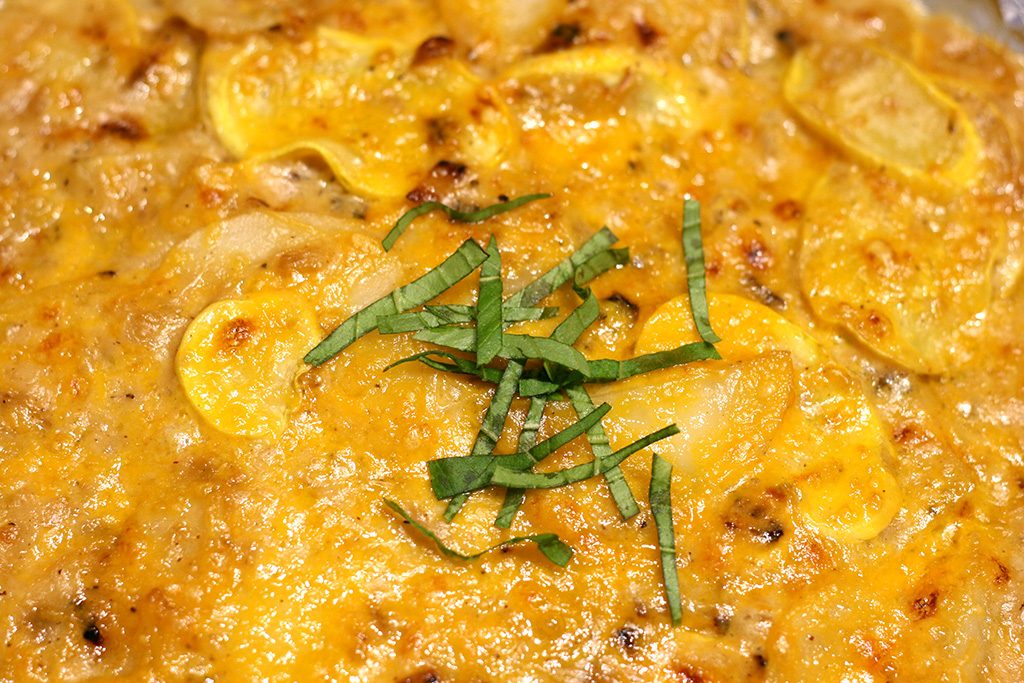 up close potato and yellow squash au gratin