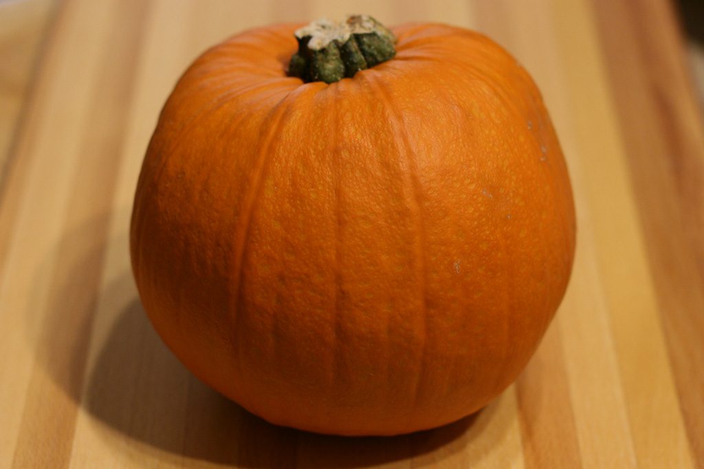 small pie pumpkin